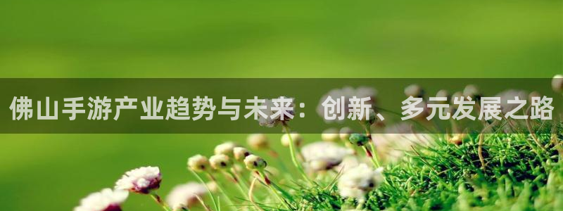 星空爱娱乐：佛山手游产业趋势与未来：创新、多元发展之路