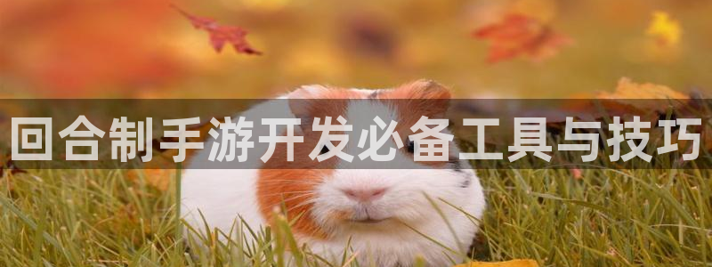 星空娱乐新版本下载：回合制手游开发必备工具与技巧