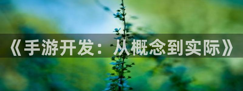 星空娱乐老版本：《手游开发：从概念到实际》