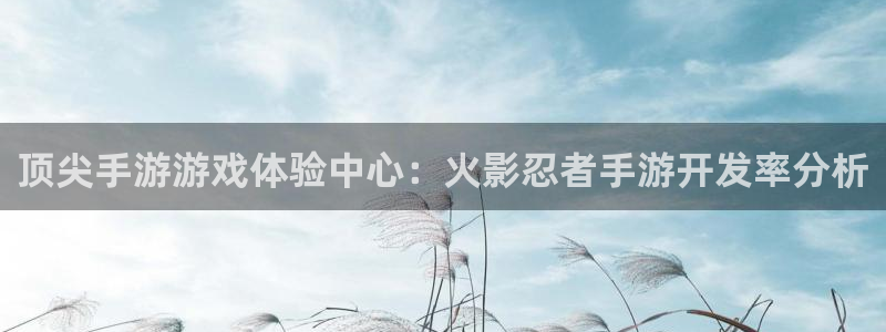 星空娱乐2021官方网站：顶尖手游游戏体验中心：火影忍者手游