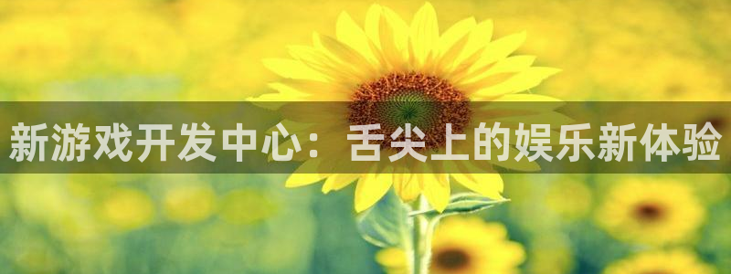 星空体育娱乐官网：新游戏开发中心：舌尖上的娱乐新体验