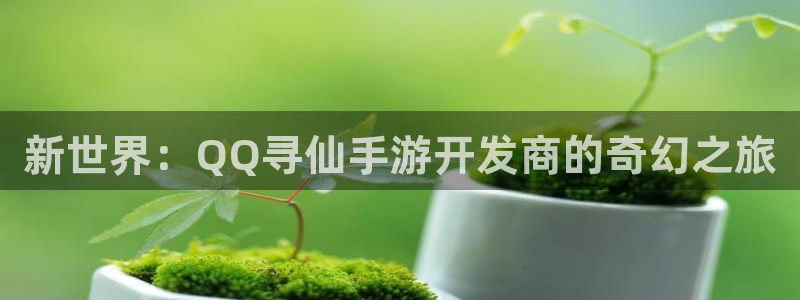 星空娱乐链接：新世界：QQ寻仙手游开发商的奇幻之旅