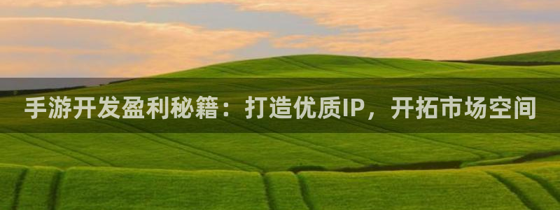 星空体育娱乐：手游开发盈利秘籍：打造优质IP，开拓市场空间