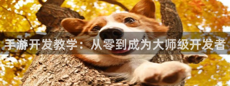 星空娱乐改名后叫什么