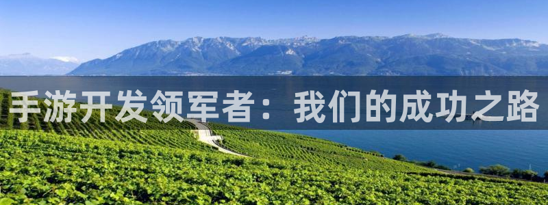 星空娱乐2021官方网站：手游开发领军者：我们的成功之路