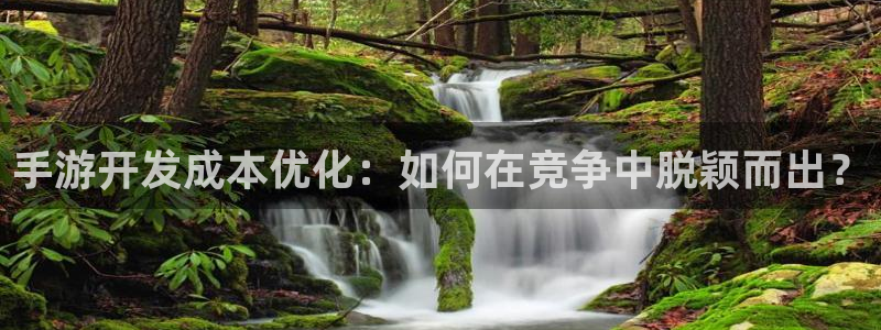 星空娱乐棋牌app：手游开发成本优化：如何在竞争中脱颖而出？