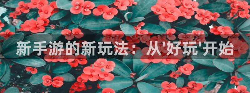 星空娱乐2021官方网站：新手游的新玩法：从\'好玩\'开始