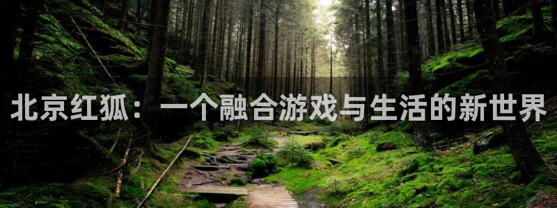星空娱乐网站：北京红狐：一个融合游戏与生活的新世界