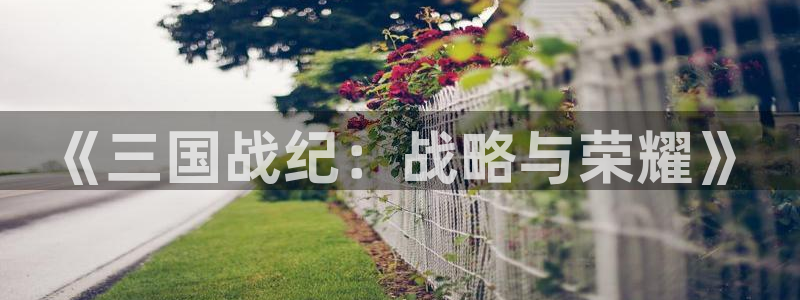 星空93299娱乐官网版：《三国战纪：战略与荣耀》