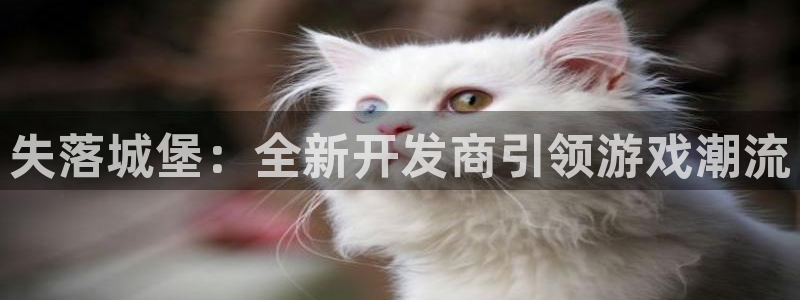 93299星空娱乐官网：失落城堡：全新开发商引领游戏潮流