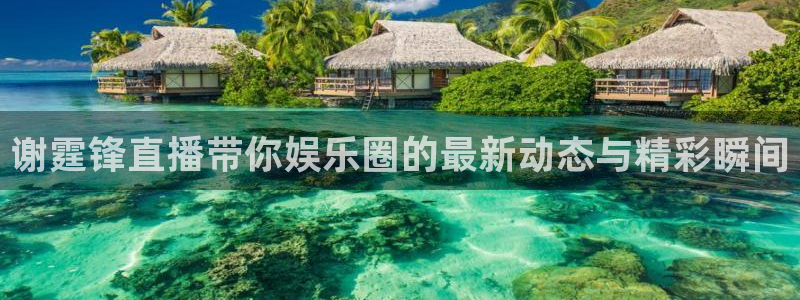 劲爆体育直播观看：谢霆锋直播带你娱乐圈的最新动态与精彩瞬间