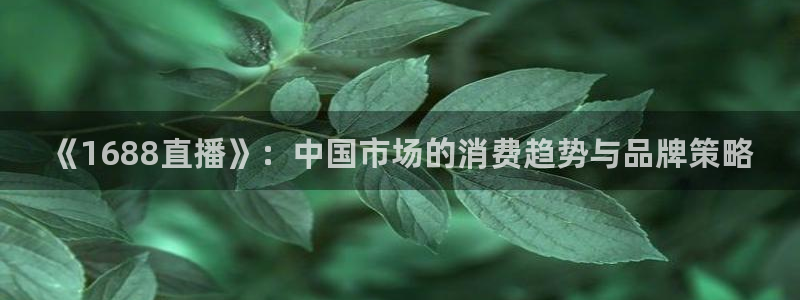 劲爆体育nba节目表：《1688直播》：中国市场的消费趋势与品牌策略